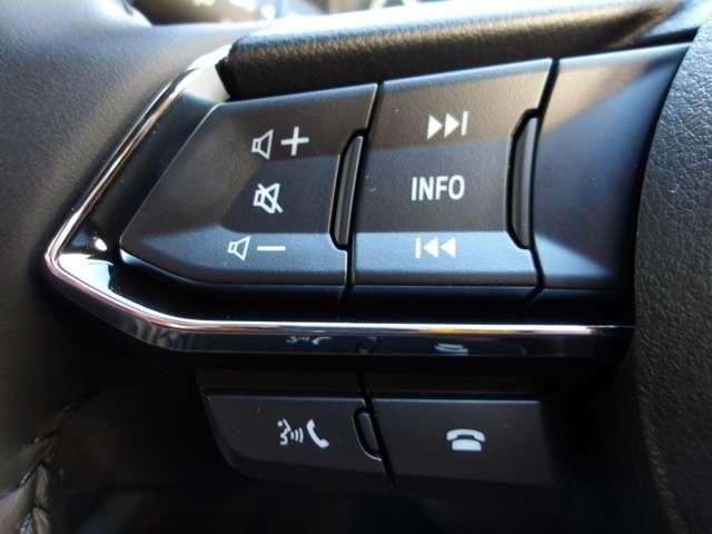 ＣＸ－５ ＸＤ　レトロスポーツエディ　試乗車ＵＰ　４ＷＤ　衝突被害軽減ブレーキ（12枚目）