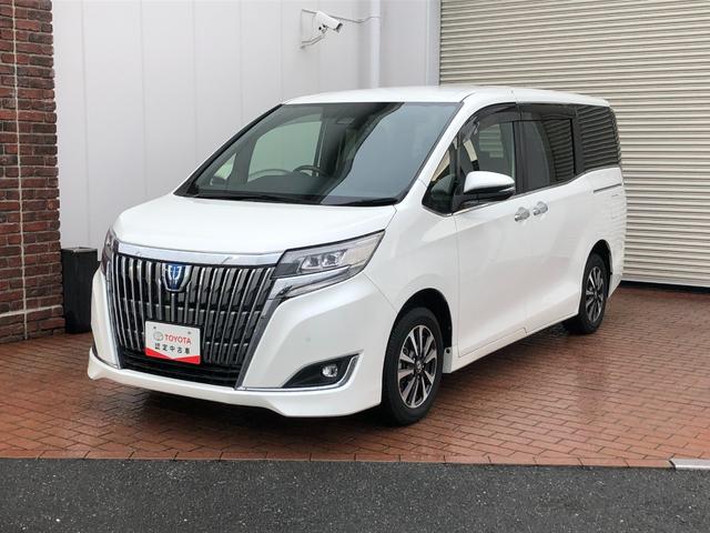 エスクァイア ハイブリッドGi メモリーナビ・フルセグ・後席モニター・ドラレコ・両側電動スライドドア・LEDヘッドランプ・スマートキー・ワンオーナー(52枚目)