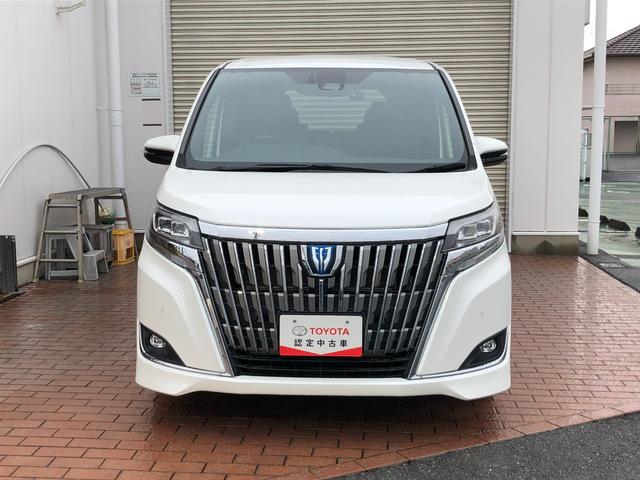 エスクァイア ハイブリッドGi メモリーナビ・フルセグ・後席モニター・ドラレコ・両側電動スライドドア・LEDヘッドランプ・スマートキー・ワンオーナー(53枚目)