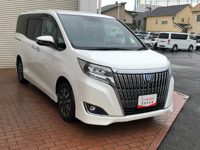 エスクァイア ハイブリッドGi メモリーナビ・フルセグ・後席モニター・ドラレコ・両側電動スライドドア・LEDヘッドランプ・スマートキー・ワンオーナー(54枚目)