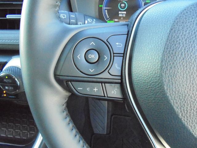 RAV4 ハイブリッドG ディスプレイオーディオナビ・パノラミックビューモニター・ブラインドスポットモニター・パワーシート・純正アルミホイール・LEDヘッドランプ・スマートキー・ワンオーナー(20枚目)