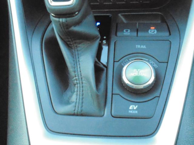 RAV4 ハイブリッドG ディスプレイオーディオナビ・パノラミックビューモニター・ブラインドスポットモニター・パワーシート・純正アルミホイール・LEDヘッドランプ・スマートキー・ワンオーナー(23枚目)