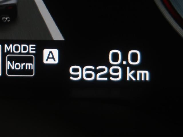 �܂��܂����ꂩ�炨��蒸���鑖�s�����ł��B