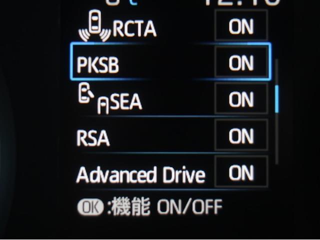 �T�|�J�[�r�Ƃ́A�ً}�u���[�L�ɉ����āA����҂ɑ����ƌ����Ă��铥�݊ԈႢ���̖h�~���T�|�[�g����@�\�ł��B�ڂ����͔̔��X�X�^�b�t�܂ł��q�ˉ������B