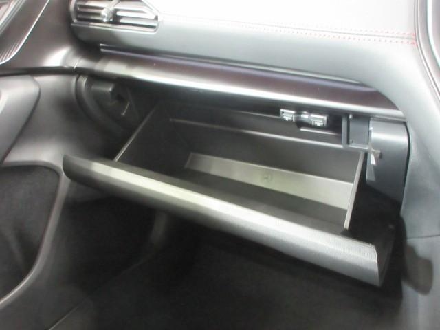 レヴォーグ STIスポーツR EX 革シート 4WD フルセグ メモリーナビ バックカメラ 衝突被害軽減システム ETC LEDヘッドランプ(24枚目)