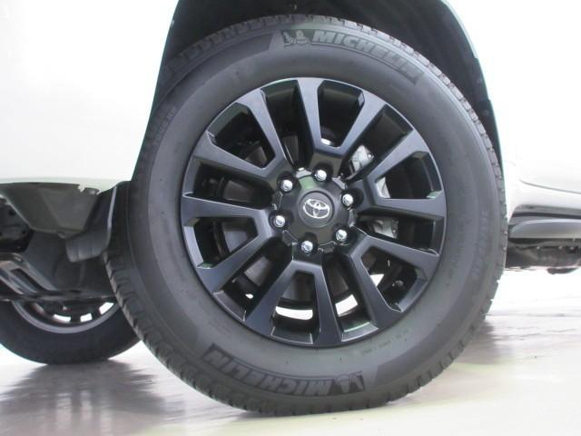 ランドクルーザープラド ＴＸ　Ｌパッケージ　マットブラックエディション　革シート　サンルーフ　４ＷＤ　フルセグ　メモリーナビ　バックカメラ　衝突被害軽減システム　ＥＴＣ　ＬＥＤヘッドランプ　乗車定員７人　３列シート（9枚目）