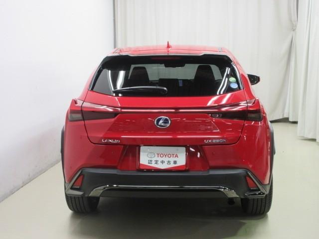 ＵＸ ＵＸ２５０ｈ　Ｆスポーツ　フルセグ　メモリーナビ　ＤＶＤ再生　バックカメラ　衝突被害軽減システム　ＥＴＣ　ドラレコ　ＬＥＤヘッドランプ（5枚目）