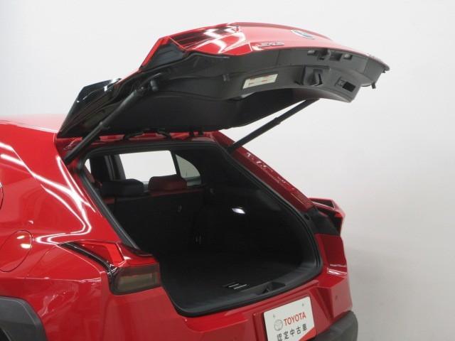 ＵＸ ＵＸ２５０ｈ　Ｆスポーツ　フルセグ　メモリーナビ　ＤＶＤ再生　バックカメラ　衝突被害軽減システム　ＥＴＣ　ドラレコ　ＬＥＤヘッドランプ（10枚目）