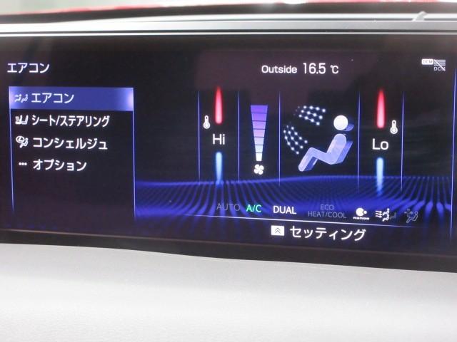 ＵＸ ＵＸ２５０ｈ　Ｆスポーツ　フルセグ　メモリーナビ　ＤＶＤ再生　バックカメラ　衝突被害軽減システム　ＥＴＣ　ドラレコ　ＬＥＤヘッドランプ（17枚目）