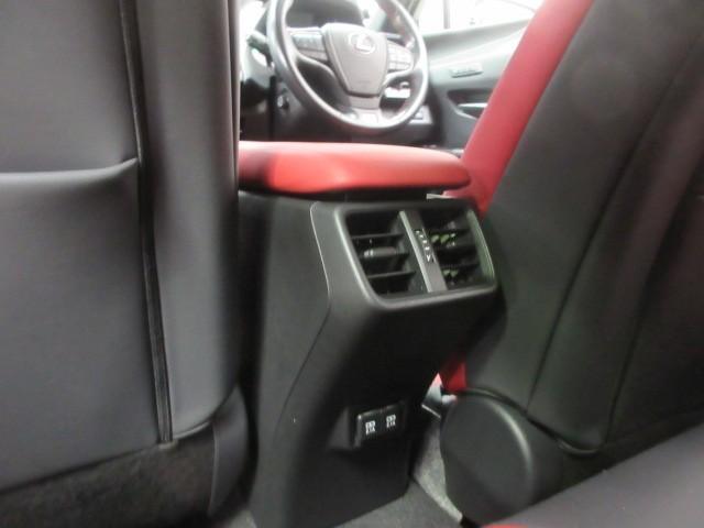 ＵＸ ＵＸ２５０ｈ　Ｆスポーツ　フルセグ　メモリーナビ　ＤＶＤ再生　バックカメラ　衝突被害軽減システム　ＥＴＣ　ドラレコ　ＬＥＤヘッドランプ（18枚目）