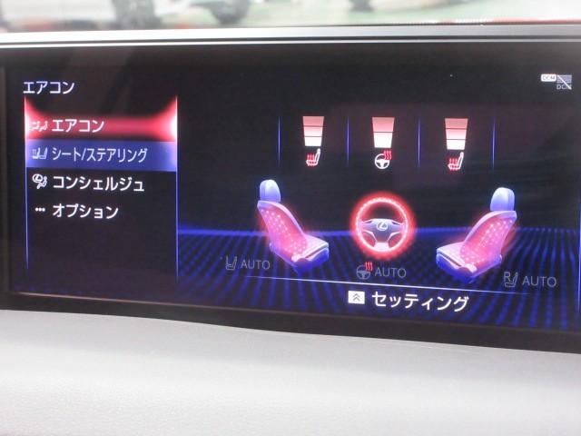 ＵＸ ＵＸ２５０ｈ　Ｆスポーツ　フルセグ　メモリーナビ　ＤＶＤ再生　バックカメラ　衝突被害軽減システム　ＥＴＣ　ドラレコ　ＬＥＤヘッドランプ（19枚目）