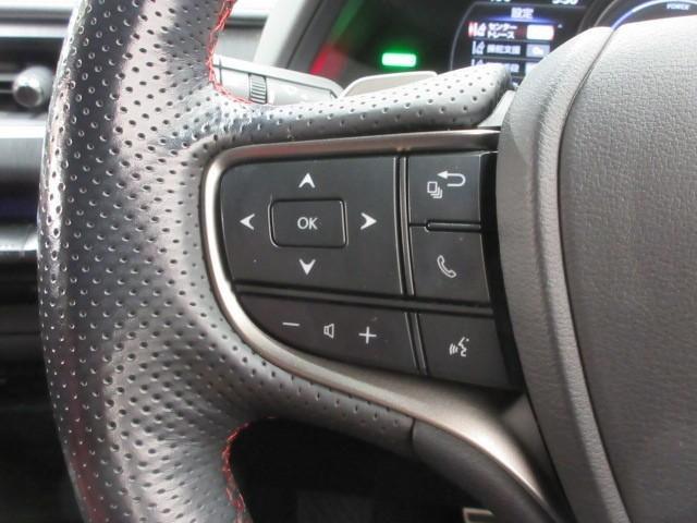 ＵＸ ＵＸ２５０ｈ　Ｆスポーツ　フルセグ　メモリーナビ　ＤＶＤ再生　バックカメラ　衝突被害軽減システム　ＥＴＣ　ドラレコ　ＬＥＤヘッドランプ（24枚目）