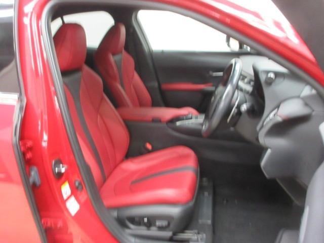 ＵＸ ＵＸ２５０ｈ　Ｆスポーツ　フルセグ　メモリーナビ　ＤＶＤ再生　バックカメラ　衝突被害軽減システム　ＥＴＣ　ドラレコ　ＬＥＤヘッドランプ（30枚目）