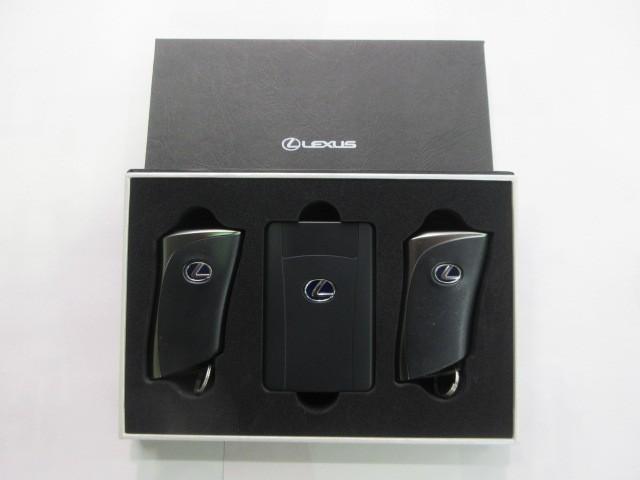 ＵＸ ＵＸ２５０ｈ　Ｆスポーツ　フルセグ　メモリーナビ　ＤＶＤ再生　バックカメラ　衝突被害軽減システム　ＥＴＣ　ドラレコ　ＬＥＤヘッドランプ（37枚目）