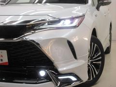 �̣ţĥإåɥ饤�ȤǤ����ǥ����������褯�ȤƤ����뤤�Τǡ���֤����Ԥ䰭ŷ���Ǥ�¿��Ǥ���������Ĺ��̿�� 7