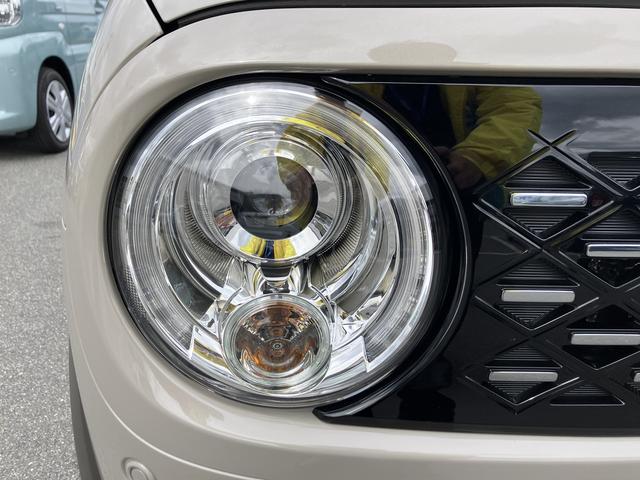 アルトラパン ＨＹＢＲＩＤ　Ｘ　６型（29枚目）