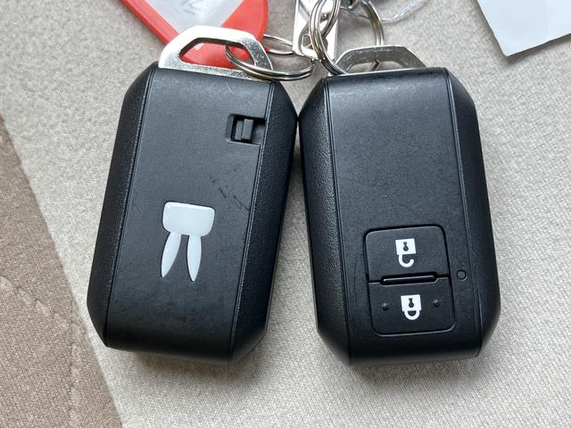 アルトラパン ＨＹＢＲＩＤ　Ｘ　６型（45枚目）