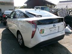 �ץꥦ�� ������󥪡��ʡ����������󡡥ѥ凉�ơ��ѥ������ɥ� 0705372A30251101W001 5