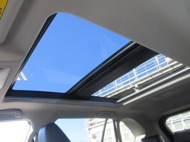RAV4 G Zパッケージ サンルーフ 4WD フルセグ メモリーナビ バックカメラ 衝突被害軽減システム ETC ドラレコ LEDヘッドランプ フルエアロ(11枚目)