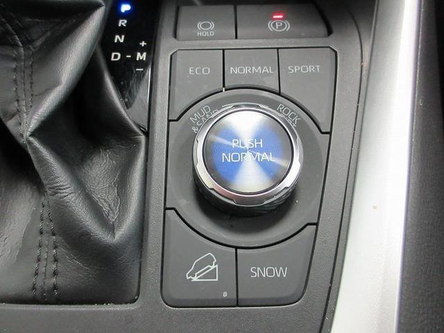 RAV4 アドベンチャー 踏み間違い加速抑制 タイヤ新 ドラレコ ディーラー保証1年走行距離無制限 トヨタ認定中古車 ナビ フルセグ バックカメラ CD再生 ETC スマートキー LEDヘッドランプ パワーシート 純正アルミ(51枚目)
