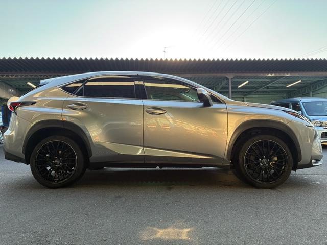 NX NX300h Iパッケージ レザーシートヒーター&クーラー パノラマルーフ 3眼LEDヘッドライト パワーバックドア RAYS20AW(6枚目)