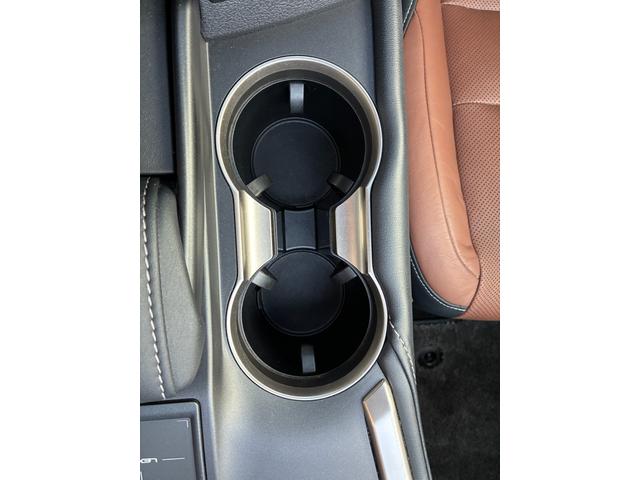 NX NX300h Iパッケージ レザーシートヒーター&クーラー パノラマルーフ 3眼LEDヘッドライト パワーバックドア RAYS20AW(35枚目)