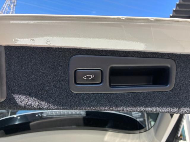 RX RX450h バージョンL 3眼LEDヘッドライト シーケンシャルウインカー Bluetoothオーディオ クルーズコントロール バックカメラ ETC パワーバックドア パワーバックドア サンルーフ 革シート(62枚目)