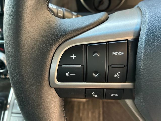 ヴェルファイア 2.5Z Gエディション レクサスLMルック ツインムーンルーフ 両側パワースライド パワーバックドア パワーシート ハーフレザー 純正10インチナビ フリップダウンモニター(24枚目)