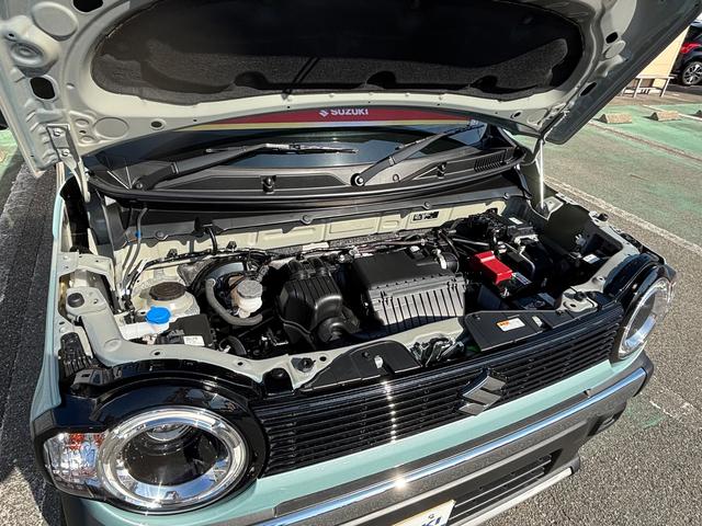 ハスラー タフワイルド　３型（3枚目）