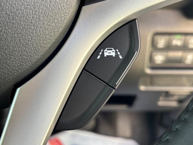 ハスラー タフワイルド　３型（23枚目）