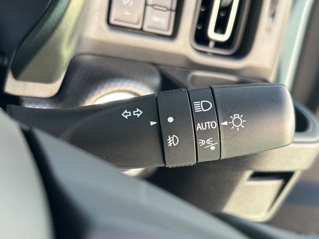 ハスラー タフワイルド　３型（24枚目）