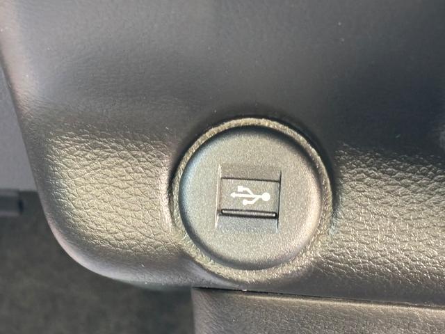 ハスラー タフワイルド　３型（30枚目）