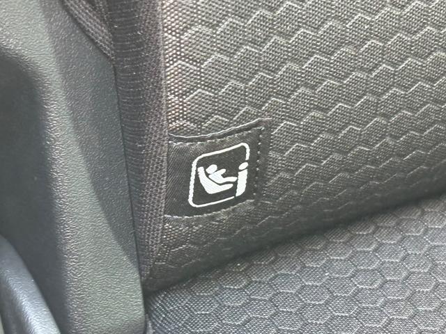 ハスラー タフワイルド　３型（43枚目）