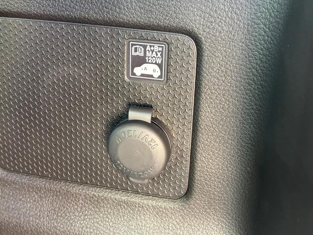 ハスラー タフワイルド　３型（54枚目）