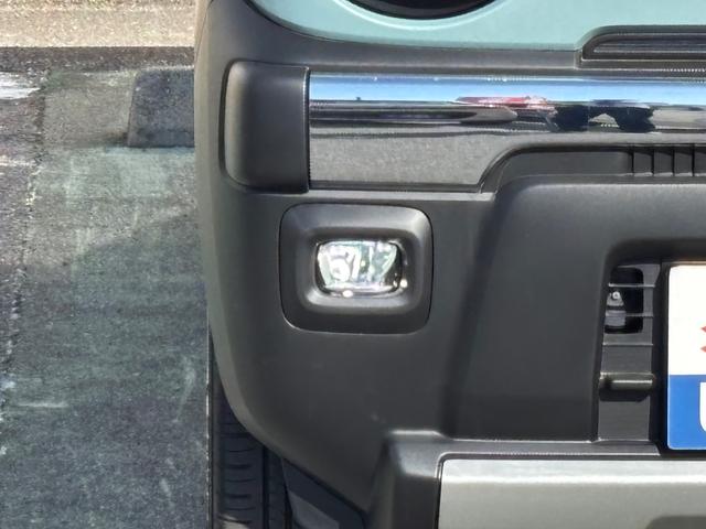 ハスラー タフワイルド　３型（69枚目）