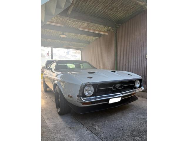 マスタング グランデ レストアベース(7枚目)