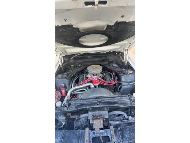 マスタング グランデ レストアベース(11枚目)