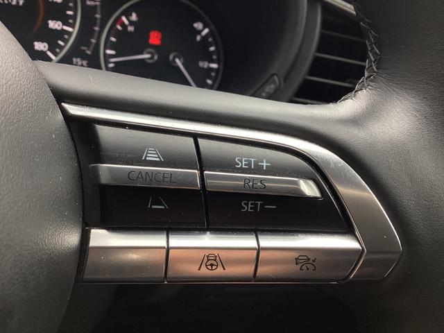 CX-30 2.0 20S 100周年 特別記念車 ナビ 360°ビュー BOSE フルセグTVチューナー ETC CD DVDプレーヤー Bluetooth USB接続端子 レーダークルーズコントロール パドルシフト パワーシート シートヒーター(23枚目)