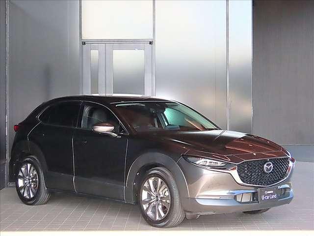 CX-30 2.0 20S プロアクティブ ツーリングセレクション 6MT/ナビ/360°モニター/BOSE/レーダークル(3枚目)