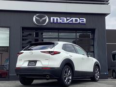 ɤǤϿǼֲǽǤ̿ʤʼ˸ʳΤͤϸϿѤɬפˤʤޤ 3