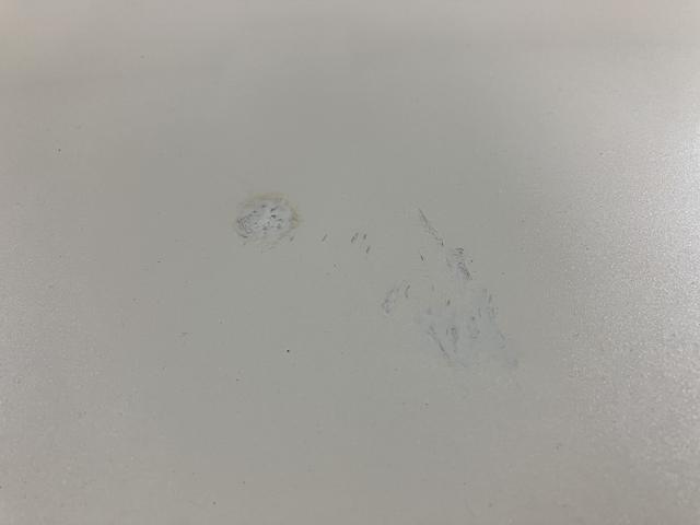 ムーヴキャンバス Xリミテッドメイクアップ SAII/1年保証/認定中古車 サポカーSベーシック+適合 1年間走行距離無制限保証 車検整備付 8インチフルセグナビ バックカメラ ナビ連動ドラレコ 両側パワースライドドア TVコン ETC キーフリー オートライト(41枚目)