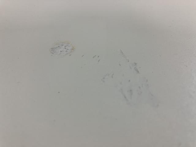 ムーヴキャンバス Xリミテッドメイクアップ SAII/1年保証/認定中古車 サポカーSベーシック+適合 1年間走行距離無制限保証 車検整備付 8インチフルセグナビ バックカメラ ナビ連動ドラレコ 両側パワースライドドア TVコン ETC キーフリー オートライト(42枚目)