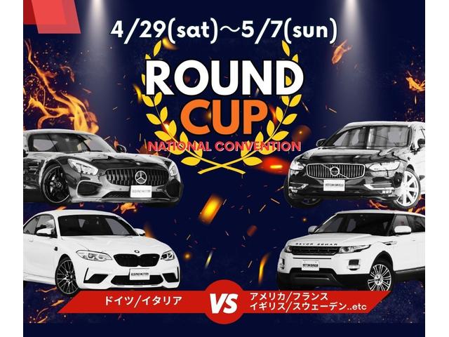 クーパー クロスオーバー TVナビ・キーレス・HIDライト・ルーフレール・ETC・AUX・R16AW・取扱説明書・メンテナンスノート・スペアキー・プッシュスタート・ライトホワイト・カラードミラー・ブラックルーフ(2枚目)