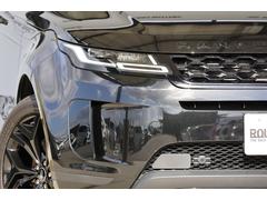 󥸥С ӣš󥪡ʡ֥åƥꥢǥץ쥤ǥҥ륳 0705540A30251128W001 5