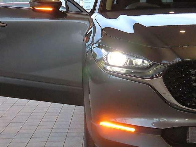 ＣＸ－３０ ２．０　２０Ｓ　プロアクティブ　ツーリングセレクション　衝突軽減ブレーキ／ナビ／ＥＴＣ／１８インチアルミ（9枚目）