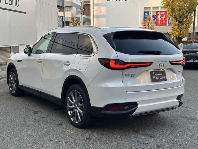 ���₩�ȋȖʂō\�����ꂽ�������{�f�B���C�������͂ł��B���f�I�ȐF�C��������Ǝ��̑��݊�������܂��B�T�C�h�p�l���ɉf�荞�ތi�F�́A���Ȃ�����{�뉀�̎،i�̂悤�Ȏ�������܂���������