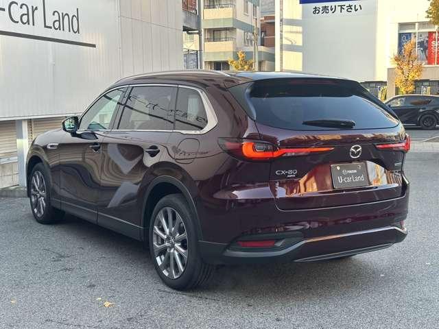 ���₩�ȋȖʂō\�����ꂽ�������{�f�B���C�������͂ł��B���f�I�ȐF�C��������Ǝ��̑��݊�����b�w-�W�O�ł�