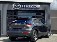 ɤǤϿǼֲǽǤ̿ʤʼ˸ʳΤͤϸϿѤɬפˤʤޤ 3