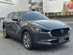 �֤�����ʪ�Τ褦����̿���򴶤������롢ư���Τ���ֺ�ư�ץǥ�������̿�����դ��ɽ��Υե���ȥޥ����ȡ��ե���Ȥ�����ޤǤ��ä�����̤ä����Ǥɤ����鸫�Ƥ���þ�Τʤ��ǥ�����򤷤Ƥ��ޤ��� 3