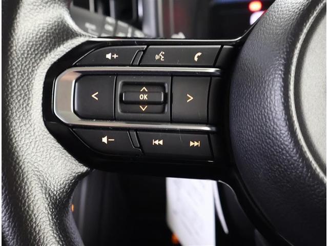 スペーシア ハイブリッドＸ　フルセグ　メモリーナビ　バックカメラ　衝突被害軽減システム　両側電動スライド　ＬＥＤヘッドランプ　アイドリングストップ（23枚目）